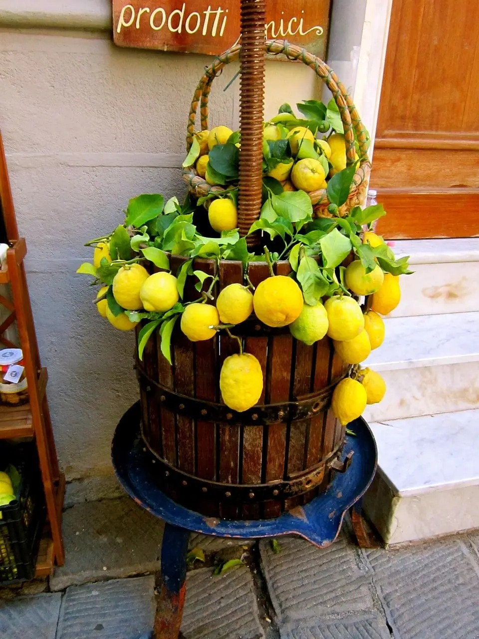 Citronovník v květináči s jasnými žlutými citrony na pozadí slunečného dne.