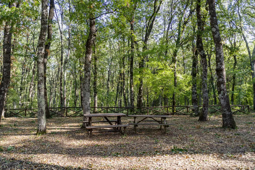 Foresta Umbra – zelené srdce poloostrova Gargano
