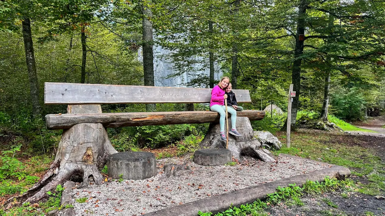 Dřevěná lavička v lese u jezer Fusine
