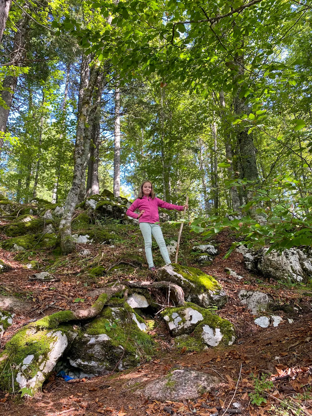 Úzká lesní pěšina s kořeny a kameny kolem jezera Lago di Fusine