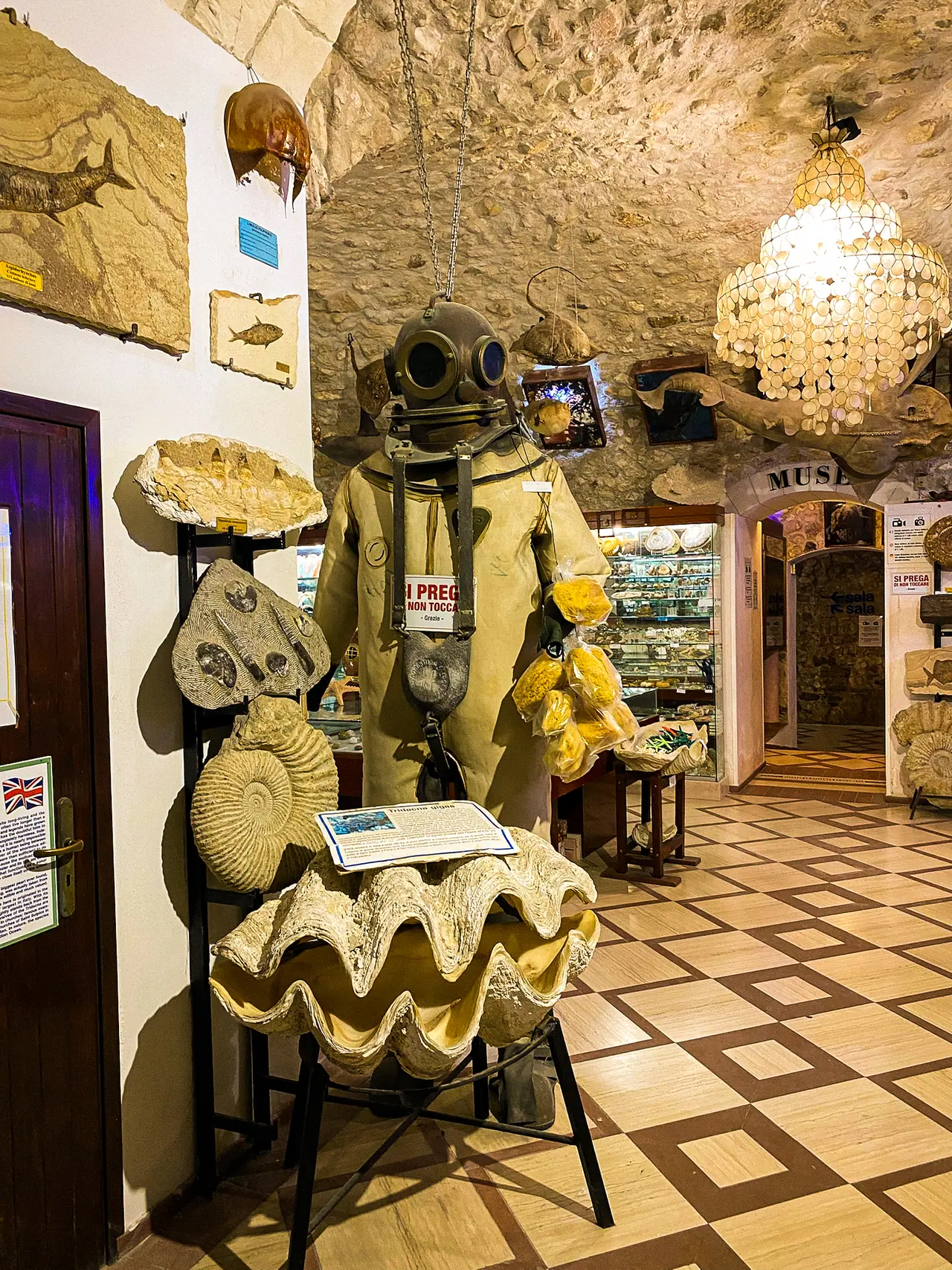 Museo Malacologico di Vieste