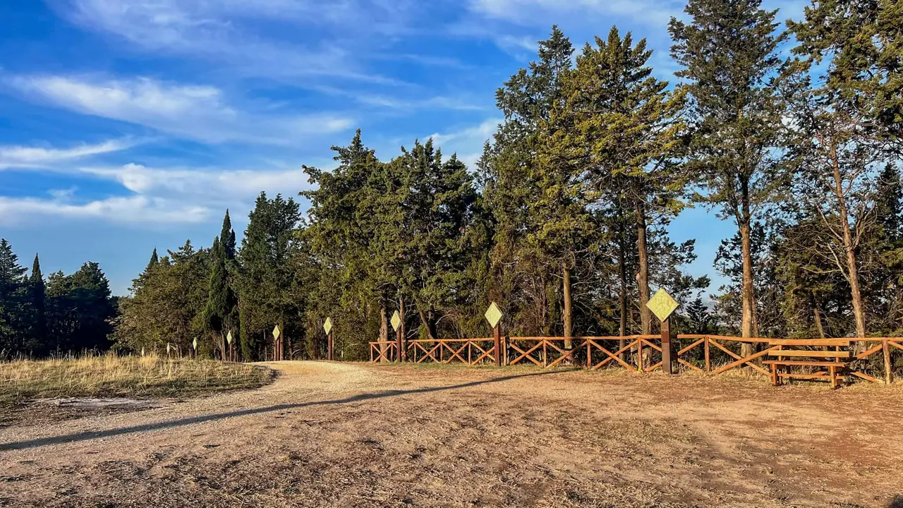 Cesta podél lesa u kaple San Salvatore na Timmari, lemovaná lavičkami a informačními tabulemi