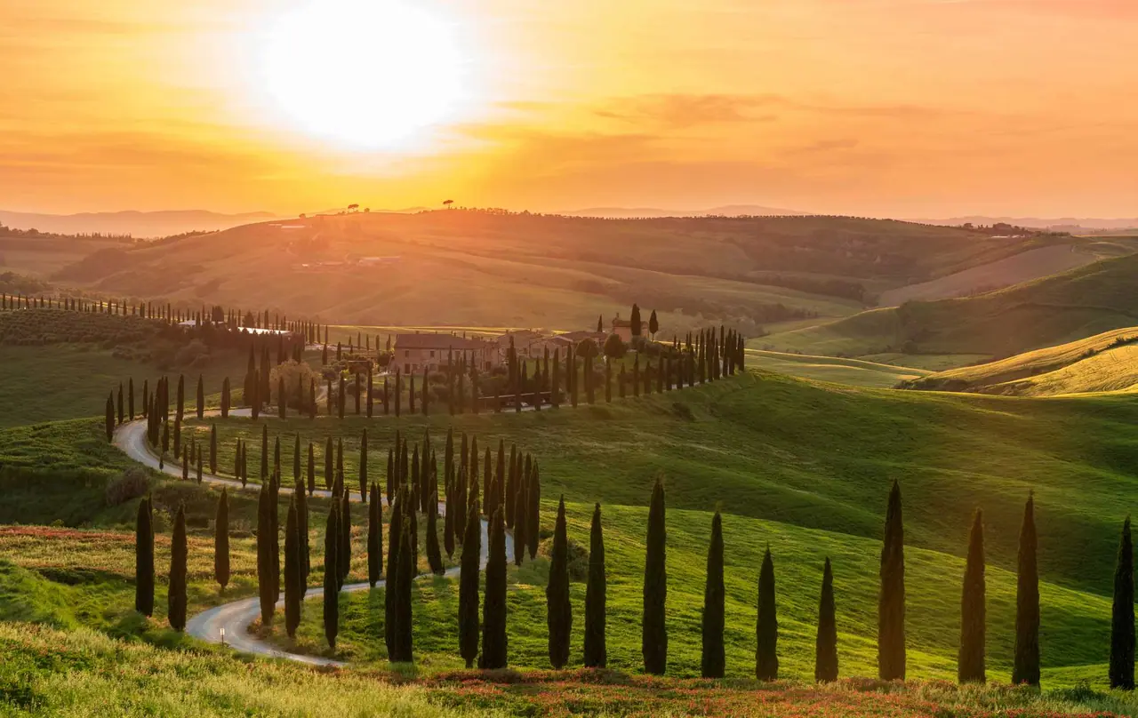 Meandrující cesta lemovaná štíhlými cypřiši vine se přes sytě zelené dubnové kopce Val d'Orcia při zlatém západu slunce