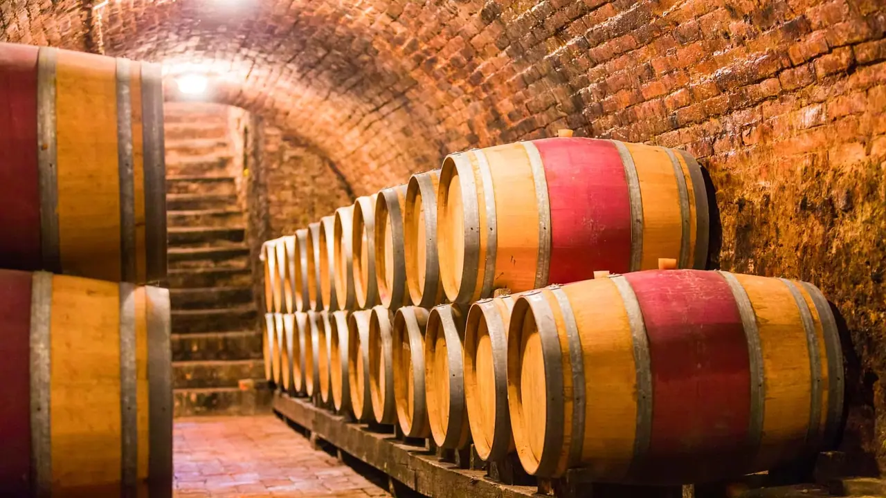 Řady dřevěných sudů s vínem ve starém klenutém sklepě s cihlovou klenbou v Montepulcianu, kde jsme s Monči a dětmi objevovali toskánské vinařství